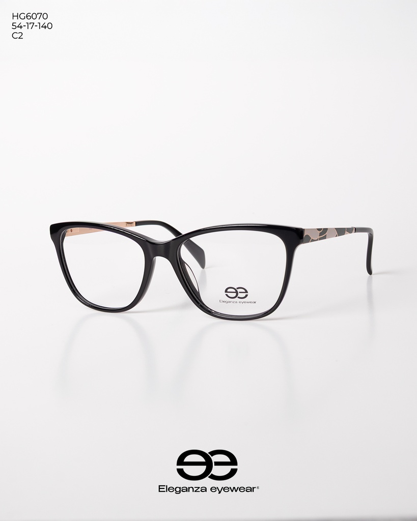 [HG6070] HG6070 C2 54-17-140 E.E ACETATO CON METAL
